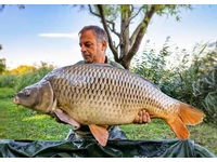 Lőrinte: 22,20 kg, 21,09 kg, 19,50 kg, 18,60 kg‼️